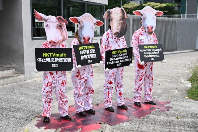 Activists of the People for the Ethical Treatment of Animals (PETA) NGO wearing outfits depicting pigs and sheep covered in 'blood' stage a demonstration outside Hong Kong Technology Venture Company Limited (HKTV) in Hong Kong on April 10, 2026. PETA called on e-commerce company HKTV to stop conducting experiments on sheep and pigs after the company said its team of doctors, professors and researchers had conducted "38 experiments in which the animals' limbs or heads were separated from their bodies" since 2022. (Photo by Peter PARKS / AFPS / AFP)