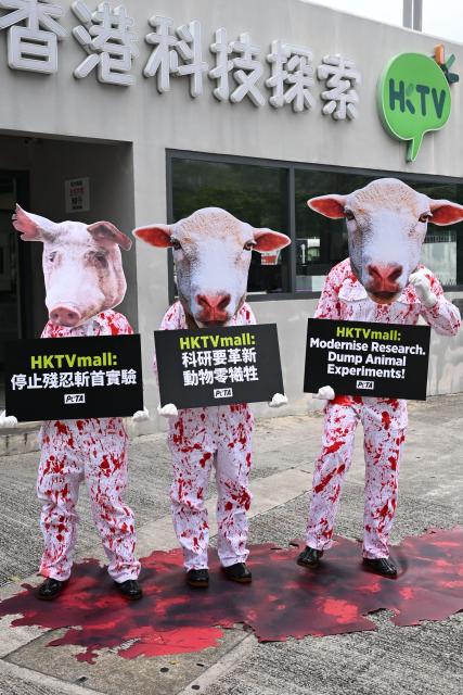 Activists of the People for the Ethical Treatment of Animals (PETA) NGO wearing outfits depicting pigs and sheep covered in 'blood' stage a demonstration outside Hong Kong Technology Venture Company Limited (HKTV) in Hong Kong on April 10, 2026. PETA called on e-commerce company HKTV to stop conducting experiments on sheep and pigs after the company said its team of doctors, professors and researchers had conducted "38 experiments in which the animals' limbs or heads were separated from their bodies" since 2022. (Photo by Peter PARKS / AFPS / AFP)
