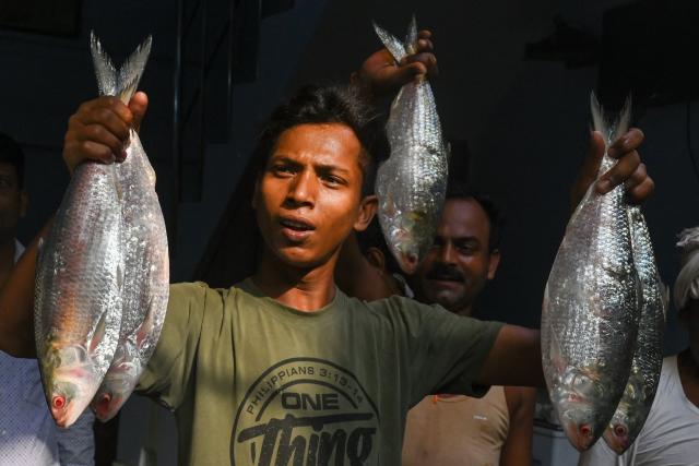 (FILES) Fish vendors auction Hilsha fish imported from Bangladesh at a wholesale market in Kolkata on September 7, 2022. In India's West Bengal state, the beloved fish has leapt from the kitchen table to the campaign trail, becoming an unexpected flashpoint in a fiercely contested election. Now, as the state of over 100 million people gears up for polls on April 23 and 29, 2026 the slippery staple has also become political ammunition. (Photo by Dibyangshu SARKAR / AFP)