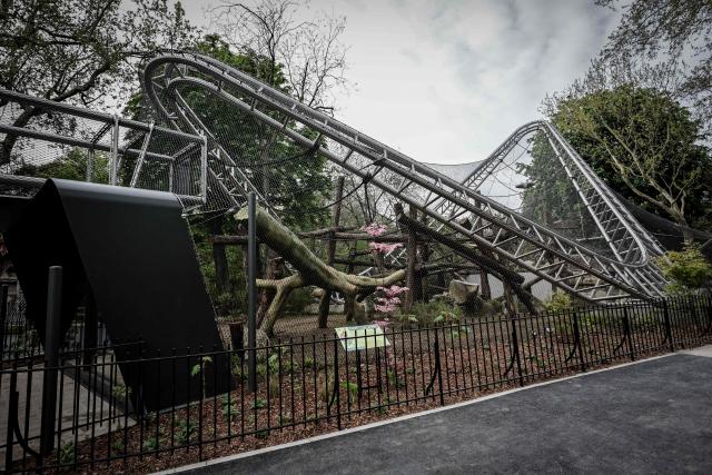 This photograph shows the new enclosure of 570 square meters dedicated to orangutans at the Menagerie zoo of the plant garden in Paris on April 10, 2026. (Photo by STEPHANE DE SAKUTIN / AFP)