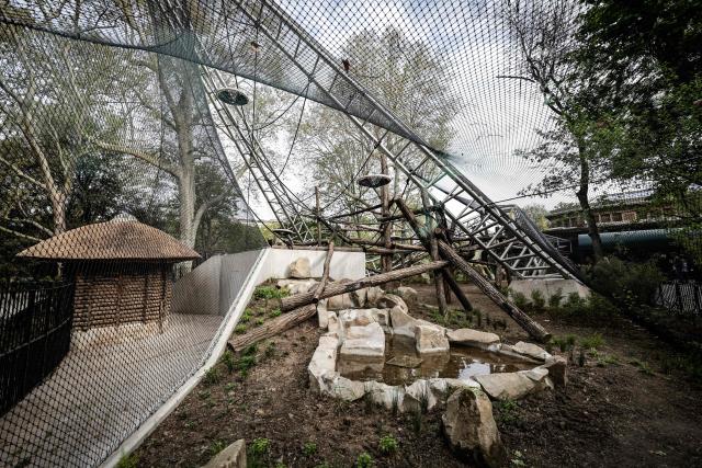 This photograph shows the new enclosure of 570 square meters dedicated to orangutans at the Menagerie zoo of the plant garden in Paris on April 10, 2026. (Photo by STEPHANE DE SAKUTIN / AFP)