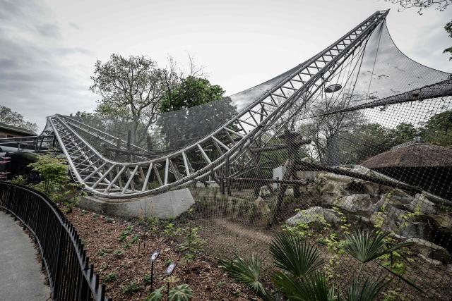 This photograph shows the new enclosure of 570 square meters dedicated to orangutans at the Menagerie zoo of the plant garden in Paris on April 10, 2026. (Photo by STEPHANE DE SAKUTIN / AFP)