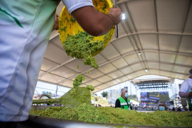 A participant prepares a portion of 6,800 kilos of Guacamole, a traditional Mexican dish made from avocados, tomatoes, onions, limes and coriander in Tancitaro, Michoacan state, Mexico on April 10, 2026. 800 people used 12 tons of avocados to complete the task on an attempt to break the Guinness World Record for the largest guacamole. Tancitaro is recognized as the "Avocado Capital," and the leading exporter of avocados to the US. (Photo by Enrique Castro / AFP)