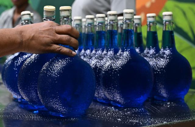 Women bottle the original Curacao liquor at The Curacao Liqueur Distillery in Willemstad, Curacao, in the Dutch Caribbean, on April 9, 2026. The iconic blue color of Curaзao liquor is not natural; it is obtained by adding a coloring agent designed to evoke the turquoise waters of the island’s idyllic Caribbean beaches. (Photo by Raul ARBOLEDA / AFP)