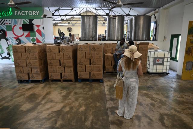 Tourists visit The Curacao Liqueur Distillery in Willemstad, Curacao, in the Dutch Caribbean, on April 9, 2026. The iconic blue color of Curaзao liquor is not natural; it is obtained by adding a coloring agent designed to evoke the turquoise waters of the island’s idyllic Caribbean beaches. (Photo by Raul ARBOLEDA / AFP)