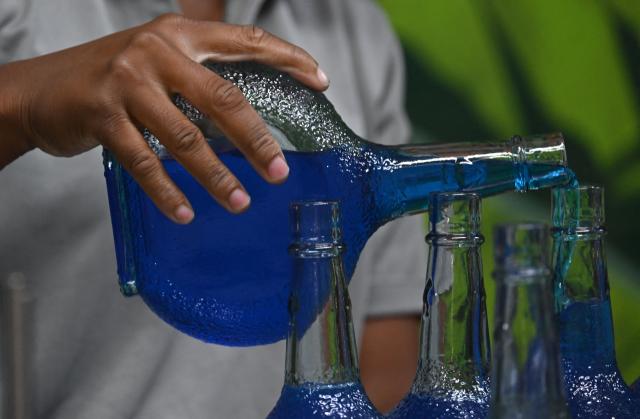 A bartender fill bottles with Curacao liquor at The Curacao Liqueur Distillery in Willemstad, Curacao, in the Dutch Caribbean, on April 9, 2026. The iconic blue color of Curaзao liquor is not natural; it is obtained by adding a coloring agent designed to evoke the turquoise waters of the island’s idyllic Caribbean beaches. (Photo by Raul ARBOLEDA / AFP)