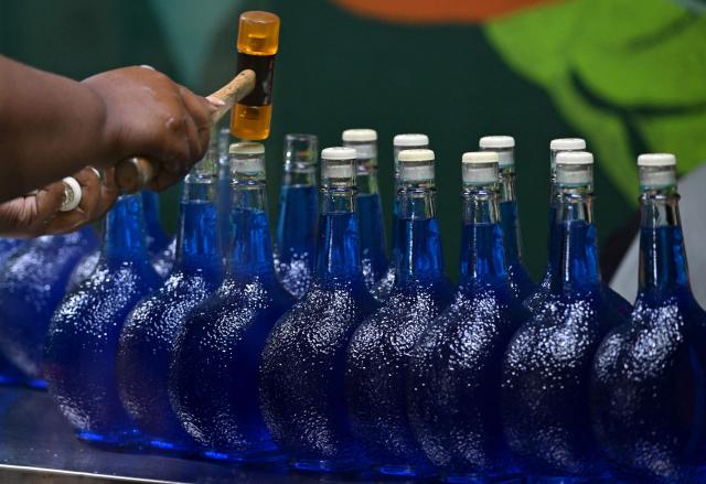Women bottle the original Curacao liquor at The Curacao Liqueur Distillery in Willemstad, Curacao, in the Dutch Caribbean, on April 9, 2026. The iconic blue color of Curaзao liquor is not natural; it is obtained by adding a coloring agent designed to evoke the turquoise waters of the island’s idyllic Caribbean beaches. (Photo by Raul ARBOLEDA / AFP)