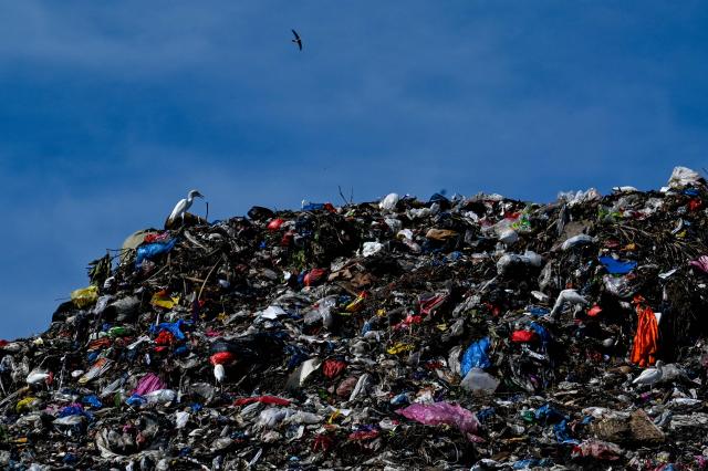 An egret walks on a pile of rubbish at a garbage dump in Blang Bintang, near Banda Aceh on April 11, 2026. (Photo by CHAIDEER MAHYUDDIN / AFP)