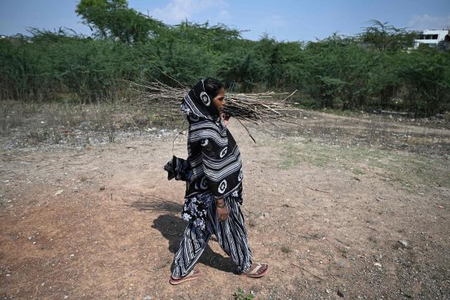 Naseema, a five-month pregnant migrant worker carries firewood from a scrubland near her rented shanty in New Delhi on April 9, 2026. Migrant workers in India's capital reeling from an energy crunch sparked by the Mideast war, are weighing whether to leave New Delhi for good. (Photo by Sajjad  HUSSAIN / AFP) / To go with 'India-Politics-Economy-Energy-Migration' FOCUS by Uzmi ATHAR