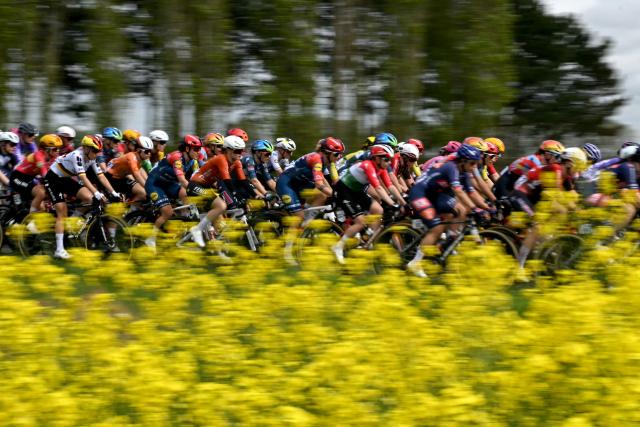 The pack of riders cycles along a field of colza flowers during the 6th edition of the Women Paris-Roubaix one-day classic cycling race, 143.1 km between Denain and Roubaix, northern France, on April 12, 2026. (Photo by NICOLAS TUCAT / AFP)