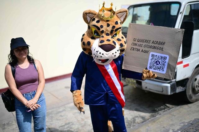 A man holds a sign reading "If you want to put an end to the 'otorongos', click here" -otorongo (quechua for jaguar) is a colloquial term used to refer to members of Congress or high-ranking officials who act unethically or protect each other from accountability- during the presidential election in Lima on April 12, 2026. Peruvians head to the polls to elect its ninth president in a decade, from a record field of 35 candidates, with crime-weary voters seemingly poised to extend the tide of conservative governments sweeping Latin America. (Photo by ERNESTO BENAVIDES / AFP)