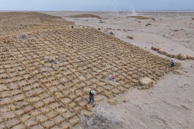 Workers set up straw barriers on rolling sand dunes at a desertification control area in Qingshui, Jiuquan in China's northwest Gansu province on April 12, 2026. (Photo by CN-STR / AFP) / China OUT