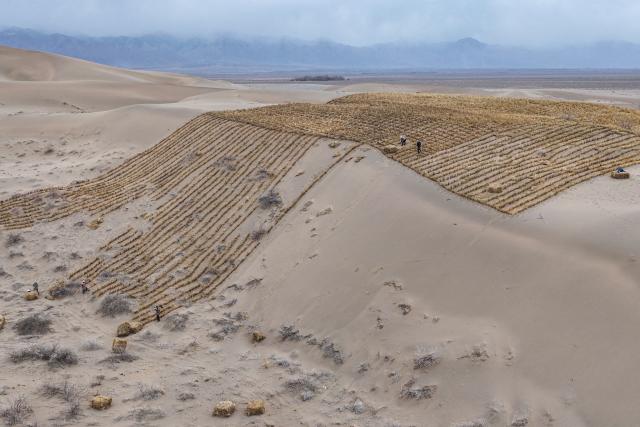 Workers set up straw barriers on rolling sand dunes at a desertification control area in Qingshui, Jiuquan in China's northwest Gansu province on April 12, 2026. (Photo by CN-STR / AFP) / China OUT