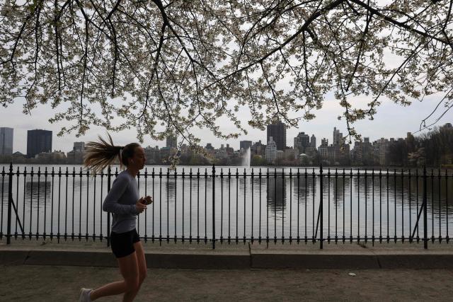A woman jogs around the Jacqueline Kennedy Onassis Reservoir on April 13, 2026 in Central Park during a warm weather day in New York City. (Photo by TIMOTHY A. CLARY / AFP)