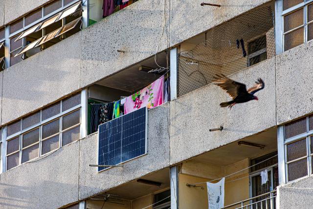 A bird flies past a solar panel on a residential building in Matanzas, Cuba, on April 13, 2026. (Photo by AFP)