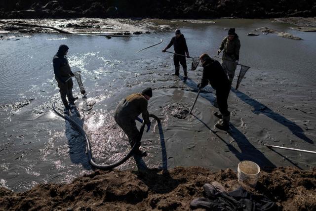 Krzysztof Bieresniewicz and his team of amber hunters search for ambers using the hydraulic pressure method in a field in Laszka, northern Poland on March 12, 2026. The method is based on using a pipe and a special rod to pump water at high pressure several metres underground, which causes pieces of amber to be washed up to the surface where it can be easly collected by pickers into collection nets. Formed some 40 million years ago from conifer resins, amber often contains air bubbles, plant fragments or insects trapped before fossilisation, granting each piece a unique "fingerprint". (Photo by Wojtek RADWANSKI / AFP)