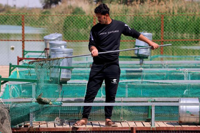 An Iraqi fish farmer cleans tanks of dead fish at his farm in the town of al-Numaniyah, near the city of Kut in southern Iraq, on April 14, 2026. Thousands of fish died last week in eastern Iraq in polluted water from sewage in the Tigris River, which caused huge losses to fish farmers. Heavy rains and floods that swept through Iraq last week pushed sewage from the Diyala River into the Tigris River, polluting the river's waters in southern Iraq. (Photo by AHMAD AL-RUBAYE / AFP)