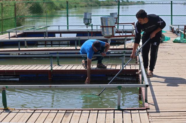 Iraqi fish farmers clean tanks of dead fish at a farm in the town of al-Numaniyah, near the city of Kut in southern Iraq, on April 14, 2026. Thousands of fish died last week in eastern Iraq in polluted water from sewage in the Tigris River, which caused huge losses to fish farmers. Heavy rains and floods that swept through Iraq last week pushed sewage from the Diyala River into the Tigris River, polluting the river's waters in southern Iraq. (Photo by AHMAD AL-RUBAYE / AFP)