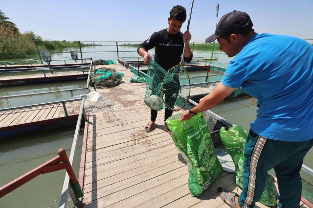 Iraqi fish farmers clean tanks of dead fish at a farm in the town of al-Numaniyah, near the city of Kut in southern Iraq, on April 14, 2026. Thousands of fish died last week in eastern Iraq in polluted water from sewage in the Tigris River, which caused huge losses to fish farmers. Heavy rains and floods that swept through Iraq last week pushed sewage from the Diyala River into the Tigris River, polluting the river's waters in southern Iraq. (Photo by AHMAD AL-RUBAYE / AFP)