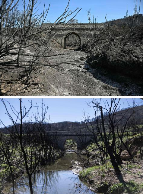 This combo picture, taken on August 8, 2025 (bottom) and on April 16, 2026 (down) shows an area devastated by the mega-fire that occurred in the department of Aude at the beginning of August 2025 near the village of Jonquieres. (Photo by Lionel BONAVENTURE / AFP)