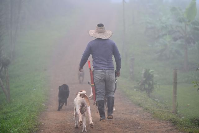 An Embera Chami Indigenous man walks with dogs in Vereda Tuma Drua, in the unified Embera Chami Rio San Juan reservation, Pueblo Rico, Risaralda, Colombia, on April 9, 2026. In the coffee-growing mountains of the Risaralda department in western Colombia, ancestral territory of the Embera Chami and Katio peoples, genital mutilation affects hundreds of girls. (Photo by Diana SANCHEZ / AFP)