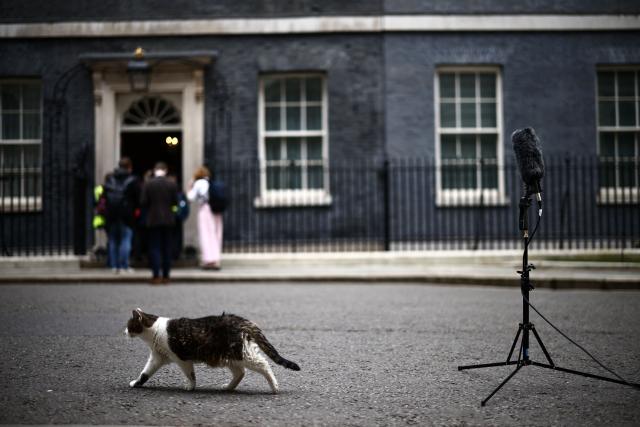 Larry the cat walks past the door to 10 Downing Street, the official residence of Britain's sitting Prime Minister, in Westminster in central London on April 17, 2026. UK Prime Minister Keir Starmer faced mounting pressure to quit on April l7, over his appointment of Peter Mandelson as envoy to Washington, after it emerged the veteran politician had failed security vetting. (Photo by Henry NICHOLLS / AFP)