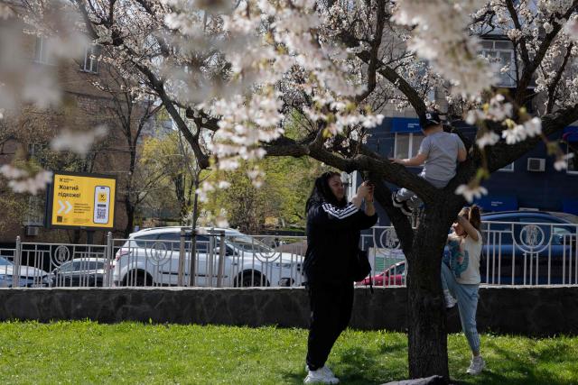 A local resident takes a picture of a child sitting on a blooming tree in a park in Kyiv on April 17, 2026, amid the Russian invasion of Ukraine (Photo by Tetiana DZHAFAROVA / AFP)