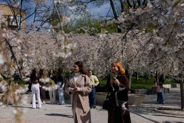 Local residents walk among the blooming trees in a park in Kyiv on April 17, 2026, amid the Russian invasion of Ukraine (Photo by Tetiana DZHAFAROVA / AFP)