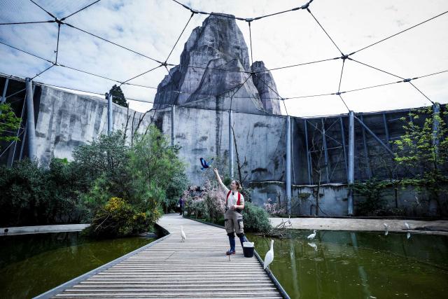 A member of staff and animal keeper feeds birds inside their enclosure at the Parc zoologique de Paris also known as the Zoo de Vincennes, in Paris, on April 17, 2026, during a press visit to present the new season theme "Journey into Wetlands". (Photo by Simon Wohlfahrt / AFP)
