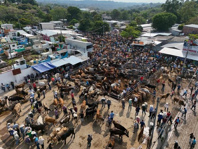 This aerial view shows the municipal market known as the Tiangue in San Rafael Cedros, Cuscatlan department, El Salvador, on April 18, 2026. Held mainly on Saturdays, the traditional market dates back to colonial times and serves as a key economic and social hub where hundreds of small-scale producers sell animals, agricultural goods, and food, often relying on these weekly sales as their primary source of income. (Photo by Marvin RECINOS / AFP)