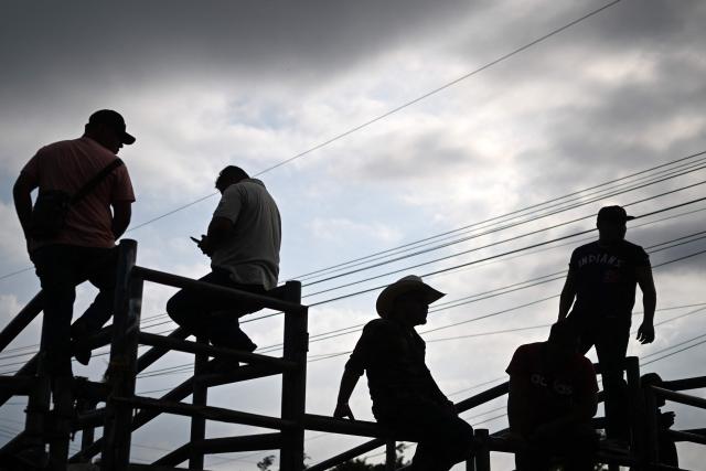 Silhouettes of livestock vendors are seen during the weekly municipal market known as the Tiangue in San Rafael Cedros, Cuscatlan department, El Salvador on April 18, 2026. Held mainly on Saturdays, the traditional market dates back to colonial times and serves as a key economic and social hub where hundreds of small?scale producers sell animals, agricultural goods, and food, often relying on these weekly sales as their primary source of income. (Photo by Marvin RECINOS / AFP)