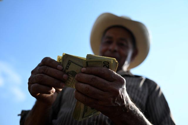 A cattle rancher counts cash after selling livestock at the municipal market known as the Tiangue in San Rafael Cedros, Cuscatlan department, El Salvador on April 18, 2026. Held mainly on Saturdays, the traditional market dates back to colonial times and serves as a key economic and social hub where hundreds of small-scale producers sell animals, agricultural goods, and food, often relying on these weekly sales as their primary source of income. (Photo by Marvin RECINOS / AFP)