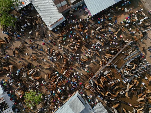 This aerial view shows the municipal market known as the Tiangue in San Rafael Cedros, Cuscatlan department, El Salvador, on April 18, 2026. Held mainly on Saturdays, the traditional market dates back to colonial times and serves as a key economic and social hub where hundreds of small-scale producers sell animals, agricultural goods, and food, often relying on these weekly sales as their primary source of income. (Photo by Marvin RECINOS / AFP)
