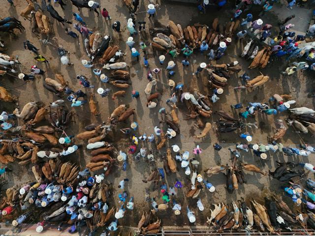 This aerial view shows the municipal market known as the Tiangue in San Rafael Cedros, Cuscatlan department, El Salvador, on April 18, 2026. Held mainly on Saturdays, the traditional market dates back to colonial times and serves as a key economic and social hub where hundreds of small-scale producers sell animals, agricultural goods, and food, often relying on these weekly sales as their primary source of income. (Photo by Marvin RECINOS / AFP)