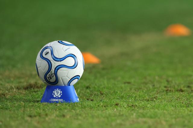 A view of the Puma Cumbre football during the CONMEBOL Nations League Women football match between Argentina and Colombia, at the Ciudad de Lanus stadium in Lanus, Buenos Aires province, Argentina, taken on April 18, 2026. (Photo by Alejandro PAGNI / AFP)