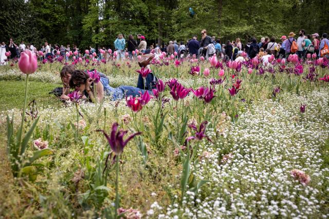 People lie next to tulip flowers during the Tulips Festival at the Parc de la Legion d'Honneur in Saint Denis, in the northern suburbs of Paris on April 19, 2026. (Photo by Behrouz MEHRI / AFP)