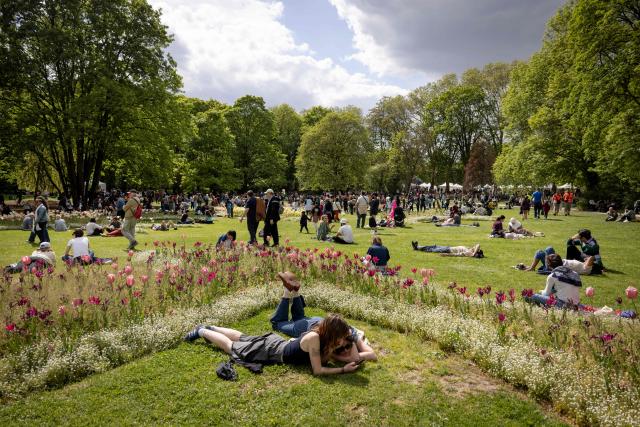 People lie next to tulip flowers during the Tulips Festival at the Parc de la Legion d'Honneur in Saint Denis, in the northern suburbs of Paris on April 19, 2026. (Photo by Behrouz MEHRI / AFP)