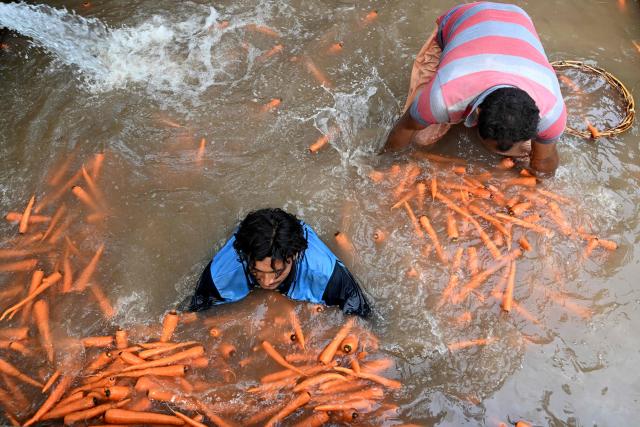 Farmers wash picked carrots in a tubewell on the outskirts of Lahore on April 19, 2026. (Photo by Arif ALI / AFP)