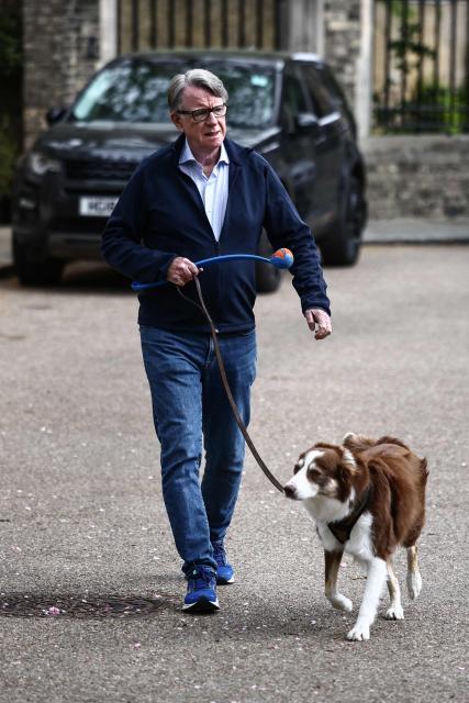 Former UK ambassador to the United States, Peter Mandelson, walks his dog outside his residence in central London on April 20, 2026. Britain's embattled Prime Minister Keir Starmer will face lawmakers in parliament on April 20 as he bids to quell anger over an unrelenting scandal involving long-time Jeffrey Epstein associate Peter Mandelson. (Photo by Henry NICHOLLS / AFP)