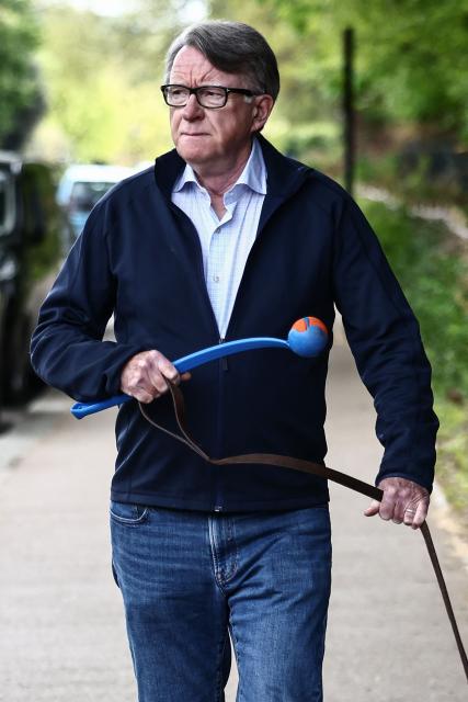 Former UK ambassador to the United States, Peter Mandelson, walks his dog near his residence in central London on April 20, 2026. Britain's embattled Prime Minister Keir Starmer will face lawmakers in parliament on April 20 as he bids to quell anger over an unrelenting scandal involving long-time Jeffrey Epstein associate Peter Mandelson. (Photo by Henry NICHOLLS / AFP)