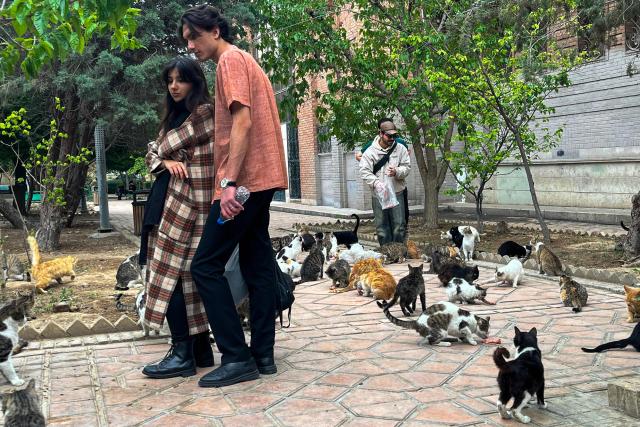 A man feeds stray cats in a park in Tehran on April 20, 2026, amid a ceasefire that came into effect last week. Iran insisted it has no plan to attend a new round of negotiations with the United States on April 20, as uncertainty grows over a push to stop the Middle East war from resuming. US President Donald Trump said he was sending negotiators to Pakistan for talks on ending the war that engulfed the region and rattled global markets, while repeating threats to attack Iran's energy infrastructure if it did not make a deal. (Photo by AFP)