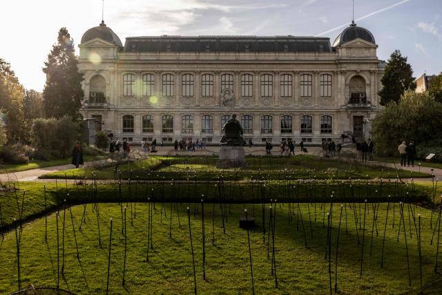 (FILES) This photograph shows the Grande Galerie de l'Evolution (Great Gallery of Evolution) building, part of the Museum National d'Histoire Naturelle (National Museum of Natural History), in Paris on November 1, 2025. The Museum, which is celebrating its 400th anniversary this year, seems to be thriving - evidenced by the 3.6 million visitors it welcomes each year to its various facilities - but behind the beautiful facade, the walls are crumbling: "And this isn't science fiction." With buildings closed for decades and others soon to follow, the National Museum of Natural History is seeking funding to address the alarming state of its buildings. (Photo by Guillaume BAPTISTE / AFP)