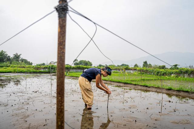 An organiser sets up the competition venue ahead of an organised event, involving mud races and wrestling matches, in Hong Kong on April 18, 2026. (Photo by Leung Man Hei / AFP)