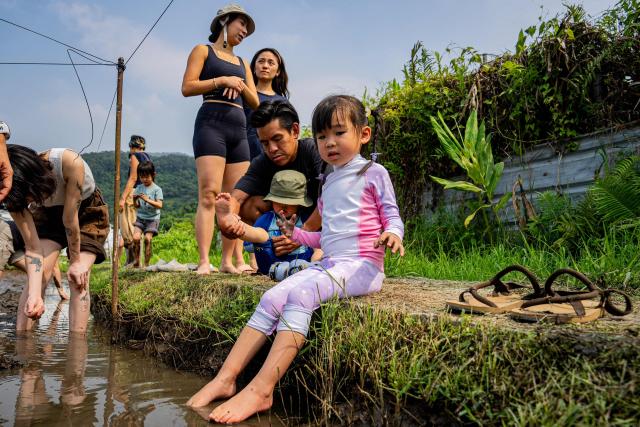 Participants gradually enter a muddy field for a trial experience ahead of an organised event, involving mud races and wrestling matches, in Hong Kong on April 18, 2026. (Photo by Leung Man Hei / AFP)