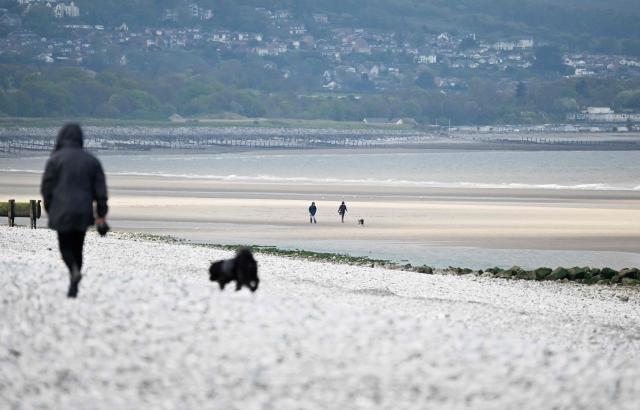 Dog walkers stroll on the beach at Abergele in north Wales on April 21, 2026. (Photo by Paul ELLIS / AFP)