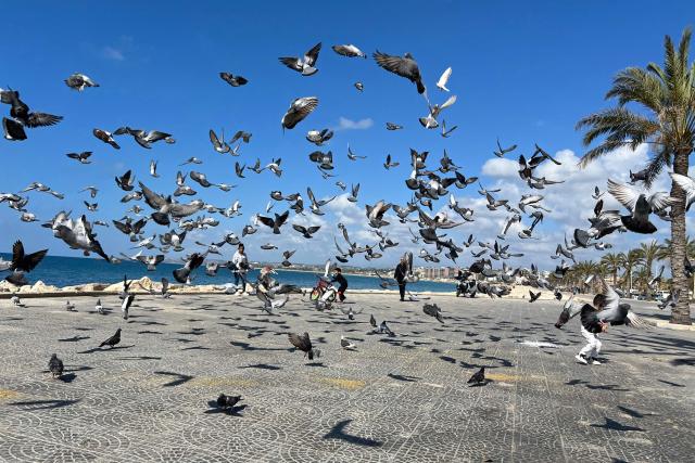 Children chase pigeons as they play on the seaside promenade in the southern Lebanese coastal city of Tyre on April 21, 2026. (Photo by Mahmoud ZAYYAT / AFP)