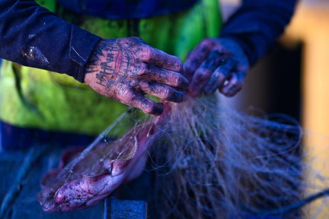 Sam Salaun, fisherman in Valras-Plage, Southern France, sorts his fishing on March 21, 2026. (Photo by Gabriel BOUYS / AFP)