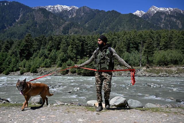 An Indian paramilitary personnel with a sniffer dog searches for explosives along the banks of Lidder river in Pahalgam, in south Kashmir's Anantnag district on April 22, 2026 that marks the first anniversary of the Pahalgam attack which killed 26 men, mostly Hindu tourists. (Photo by Tauseef MUSTAFA / AFP)