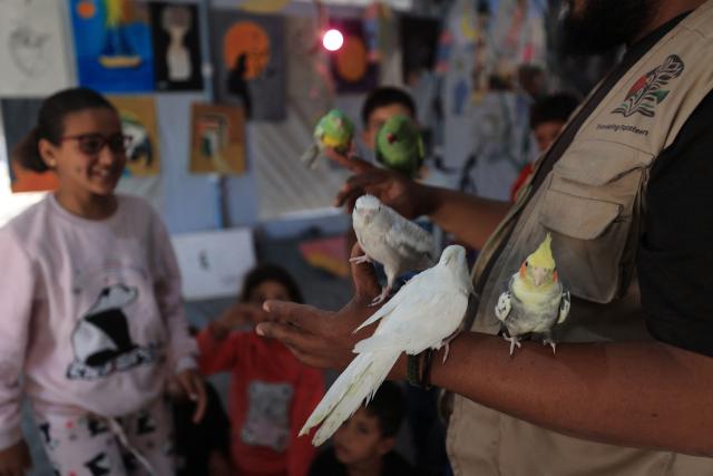 Displaced Palestinian children participate in psychological debriefing sessions at an art studio that uses pets and birds to aid the children, in the Al-Zawaida area, in the central Gaza Strip on April 21, 2026. (Photo by Eyad Baba / AFP)