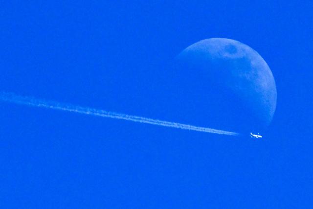 An Airbus 320-214 aircraft of German airline Eurowings flies past the Waxing Gibbous Moon over Frankfurt am Main, western Germany on April 23, 2026. (Photo by Kirill KUDRYAVTSEV / AFP)